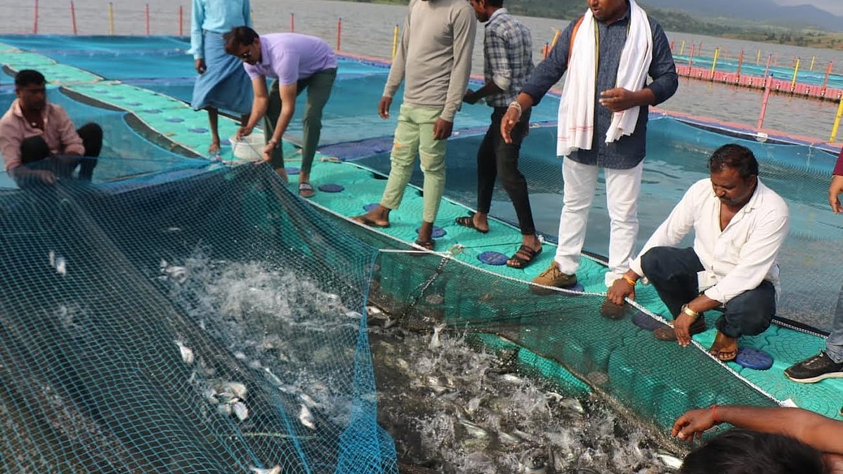 Madhya Pradesh's Khargone Dist Exceeds Fish Production Targets