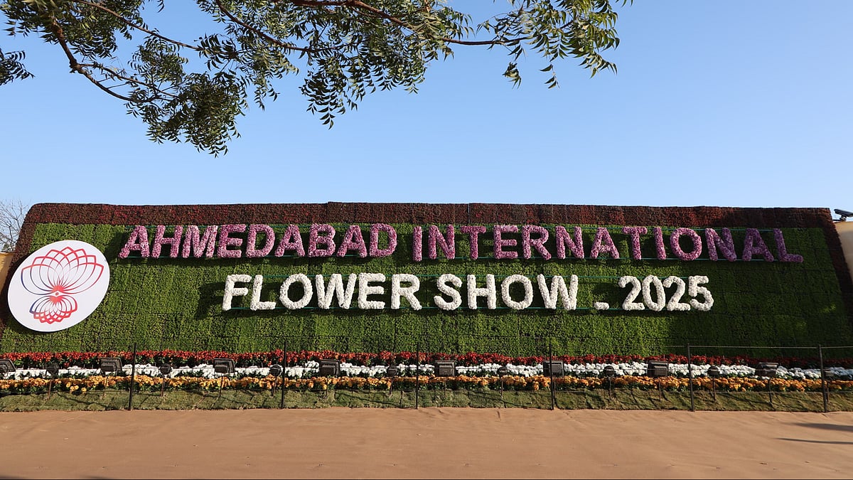 Must-Visit: Ahmedabad International Flower Show Begins; Know Dates, Timings, Ticket Prices & More 