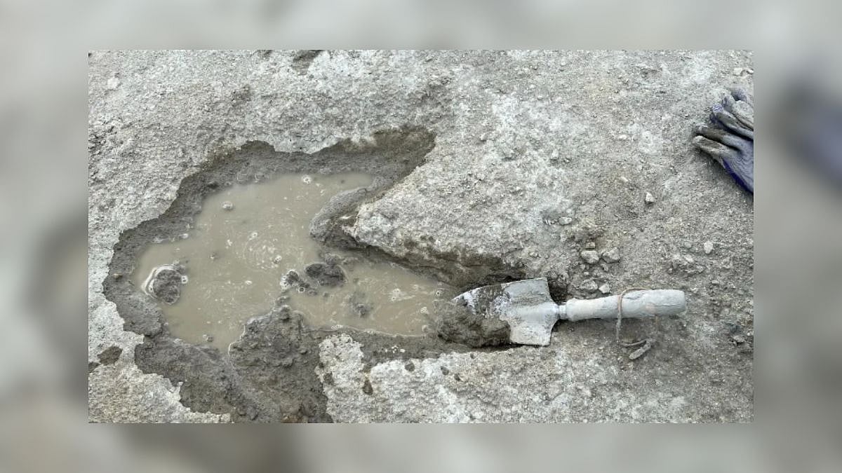 Scientists Find 200 Fresh Dino Footprints on UK's 'Dinosaur Highway'