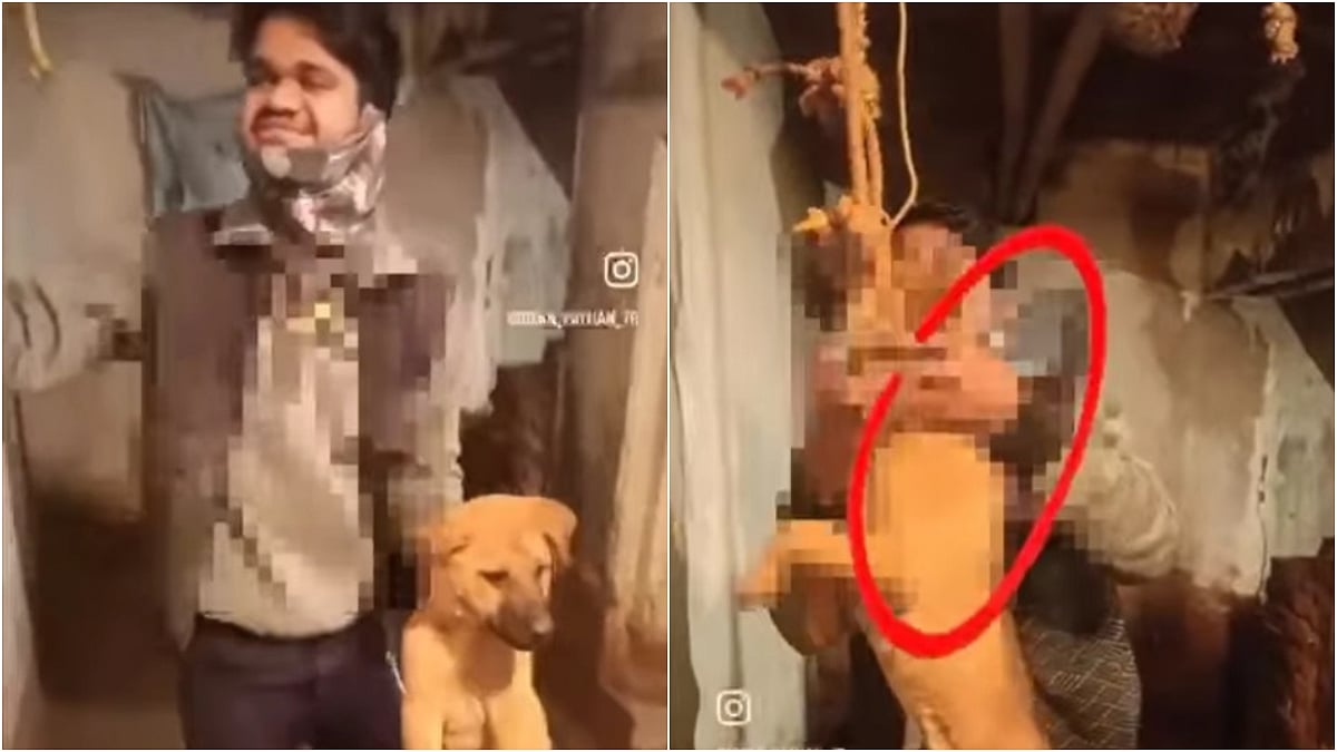 Monster Man Attempts To Hang Puppy, Mimicking Execution For Instagram Reel; Sparks Outrage On Social Media