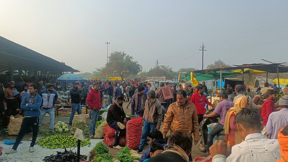 Madhya Pradesh: Vegetable Prices Shoot Up But Farmers Get Peanuts In Mandis 