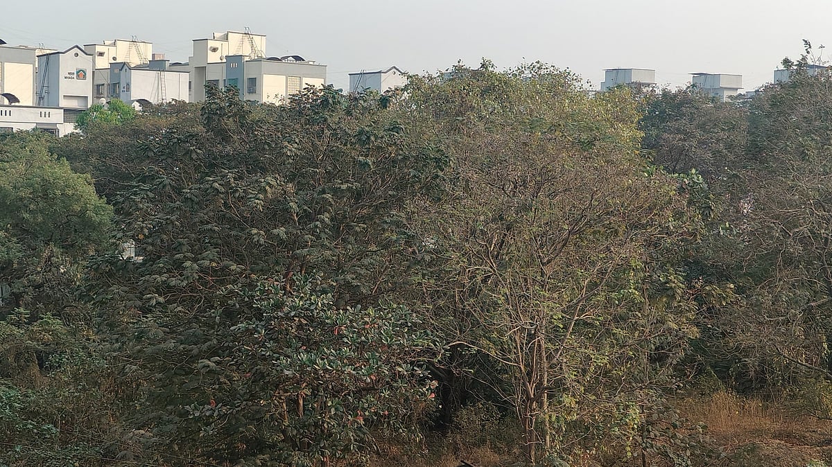 Mumbai: Kurla Residents Protest Government's Plans To Mark Dairy Land For Dharavi Redevelopment