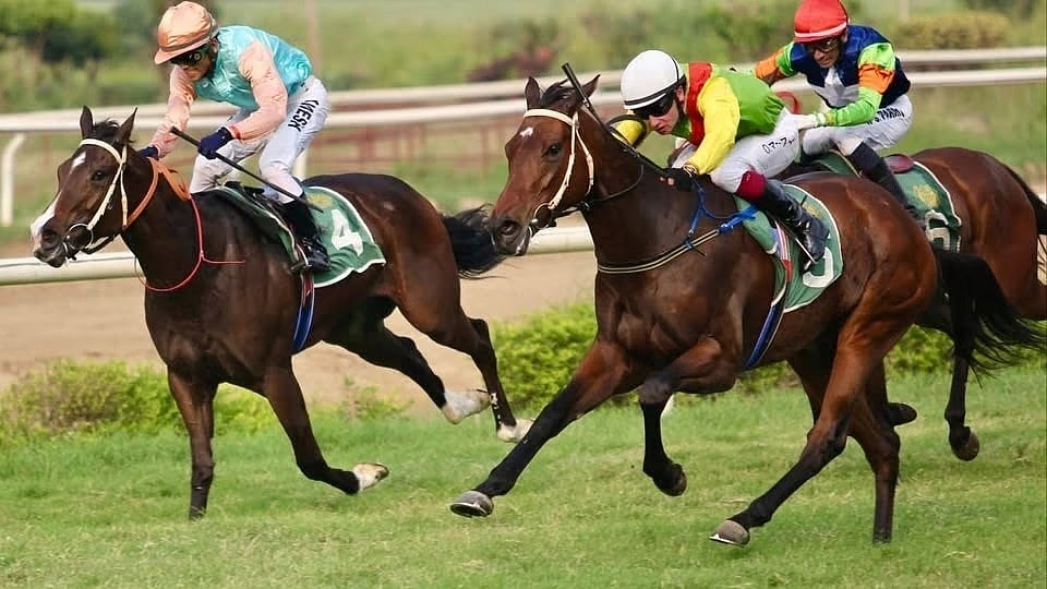 Horse Racing, Mahalaxmi Racecourse: Portofino Bay Seeks Glory In Mathradas Goculdas Trophy
