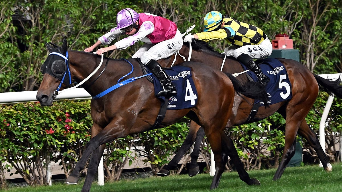 Mumbai Races: Irish Gold Clinches Mathradas Goculdas Trophy