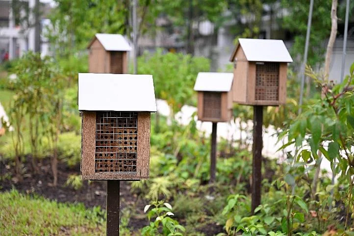 The bee hotel is a specially designed structure that provides shelter and nesting sites for insects such as solitary bees, which are important pollinators that do not live in hives and are non-aggressive.