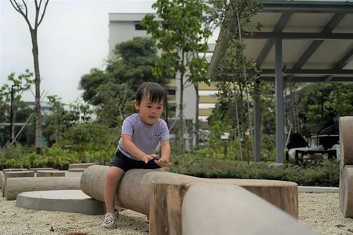 Greenery and physical activity for children at Pek Kio Park.
