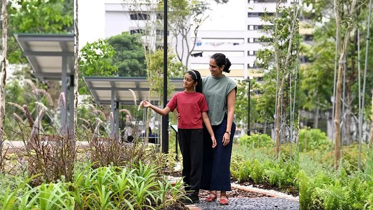 The Texture & Sensory Garden at Pek Kio Park, Singapore, is designed to appeal to the sense of touch. This garden encourages sensory stimulation through tactile interactions with plants of different textures.
