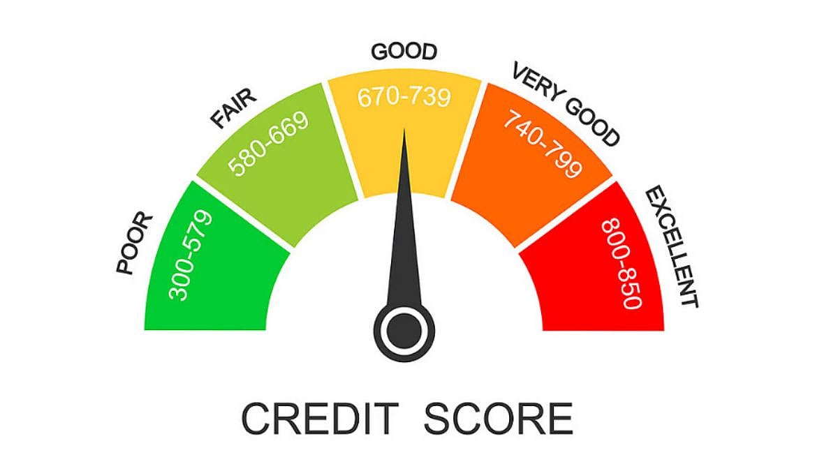 What Is A Company Credit Report & What Does It Include?