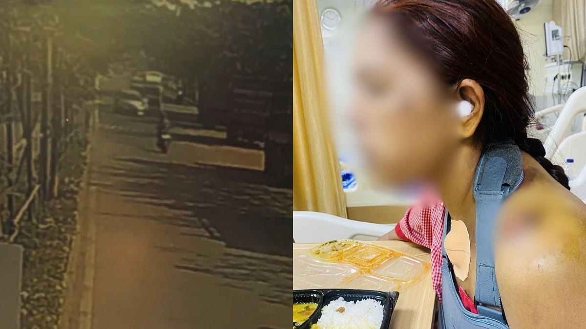 'She Is Still Suffering': 11 Days After Reckless Driver Hits Mother And Flees, Daughter Urges Maha CM, Police To Act Against Accused