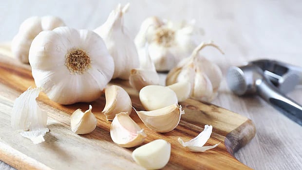 Garlic Prices Crash In Madhya Pradesh As Chinese Imports Hit Local Farmers Hard