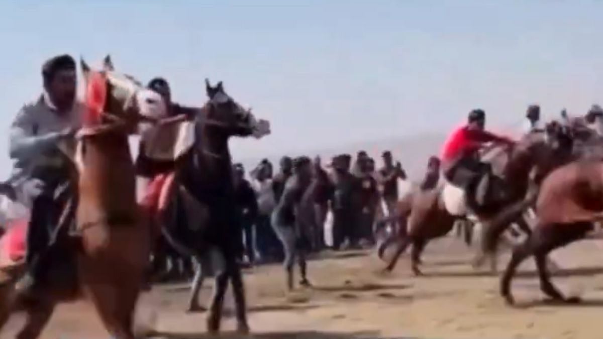 Maharashtra: Illegal Horse Race At Dahanu Beach Cancelled After PETA India Alerts Police