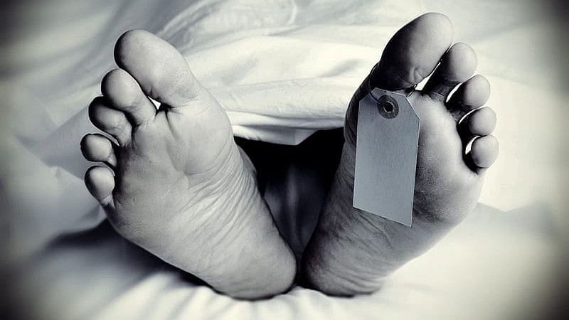 Two Killed As Cement-Laden Truck Falls Into River In Madhya Pradesh's Damoh