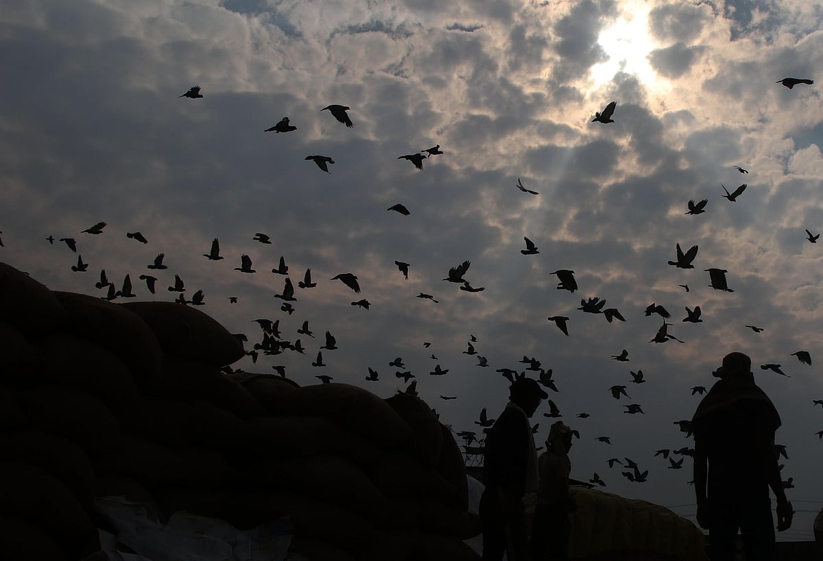 Madhya Pradesh March 07 Weather Updates: Cold Wave Breaks Decade-Long Record In March; Rise In Temperature Ahead