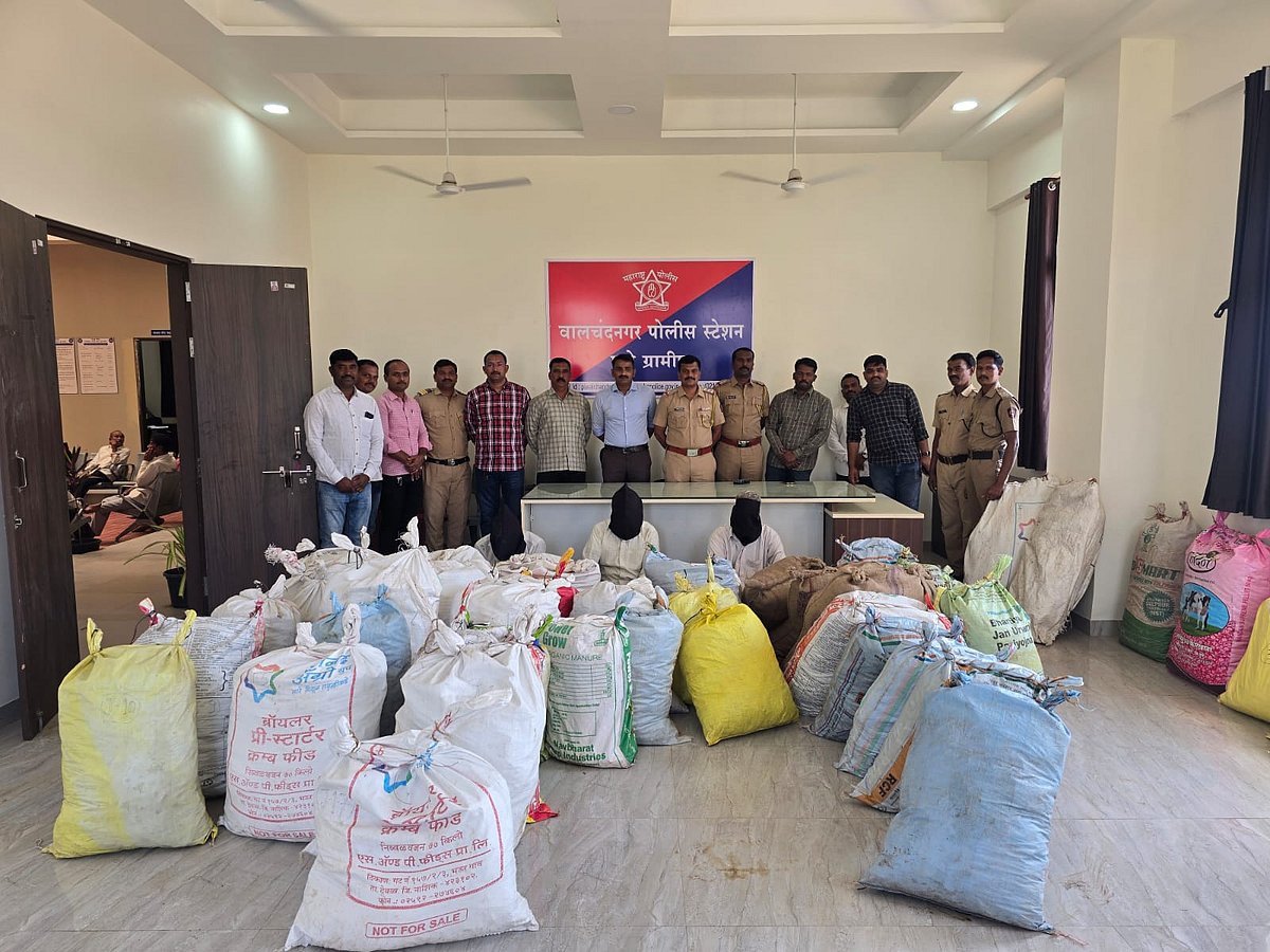 Pune: Cops Seize Illegal Opium Cultivation Worth ₹27.56 Lakh From Farm In Indapur's Nhavi Village