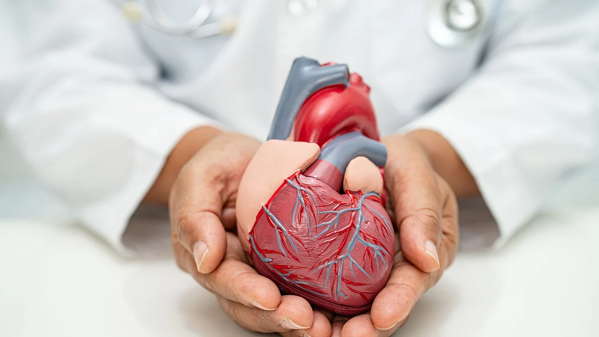 Heart Valve Disease Awareness Day: Understanding Condition & Prevention