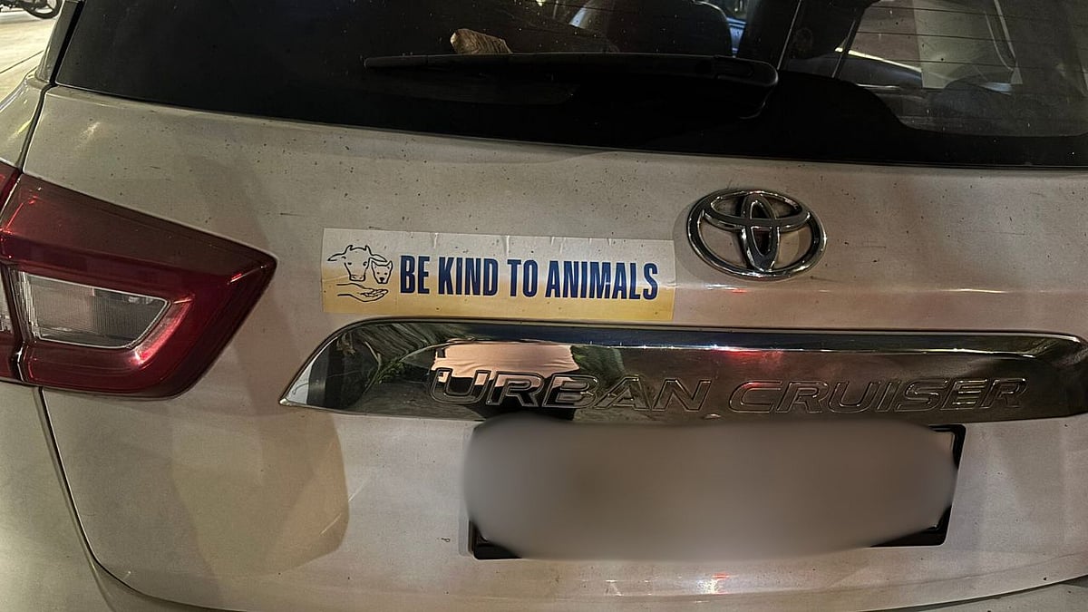 Good News! Public Transport Vehicles To Display 'Be Kind To Animals' Slogan By April 2025