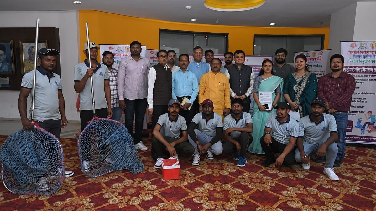 article-image