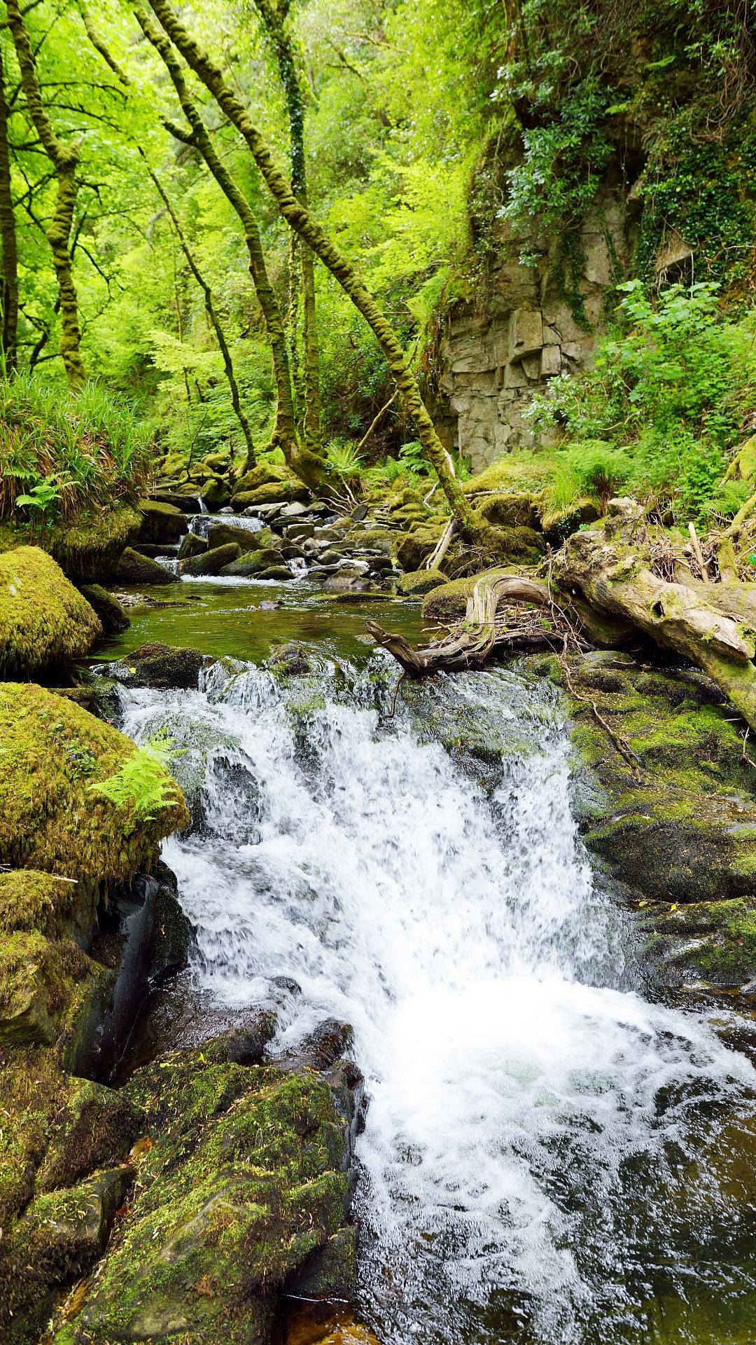 IN PICTURES: 7 Must-Visit Waterfalls To Explore In Karnataka