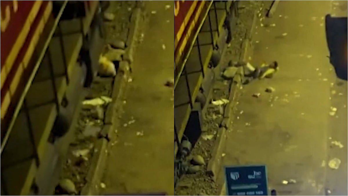 Miraculous Escape! Drunk Man Survives After Goods Train Runs Over Him In Peru; Shocking CCTV Footage Surfaces