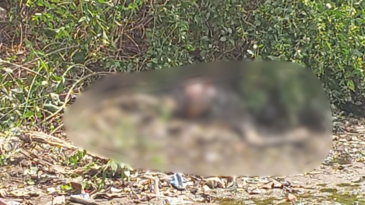 3 People Killed, 10 Others Injured As Mini-Bus Meets With Accident Near Mahore, J&K; Visuals Surface