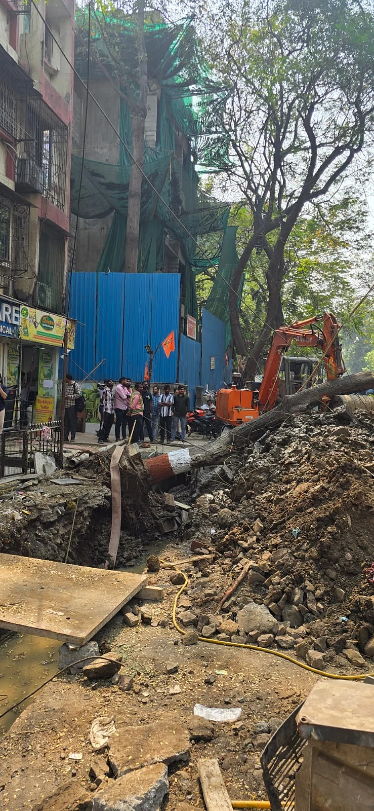 A tree fell in January on Tilak Road, Ghatkopar during road digging. Work carried storm water drains department of BMC