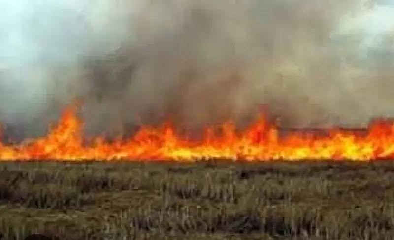 Farmers Told To Keep Away From Burning Residues In Narmadapuram