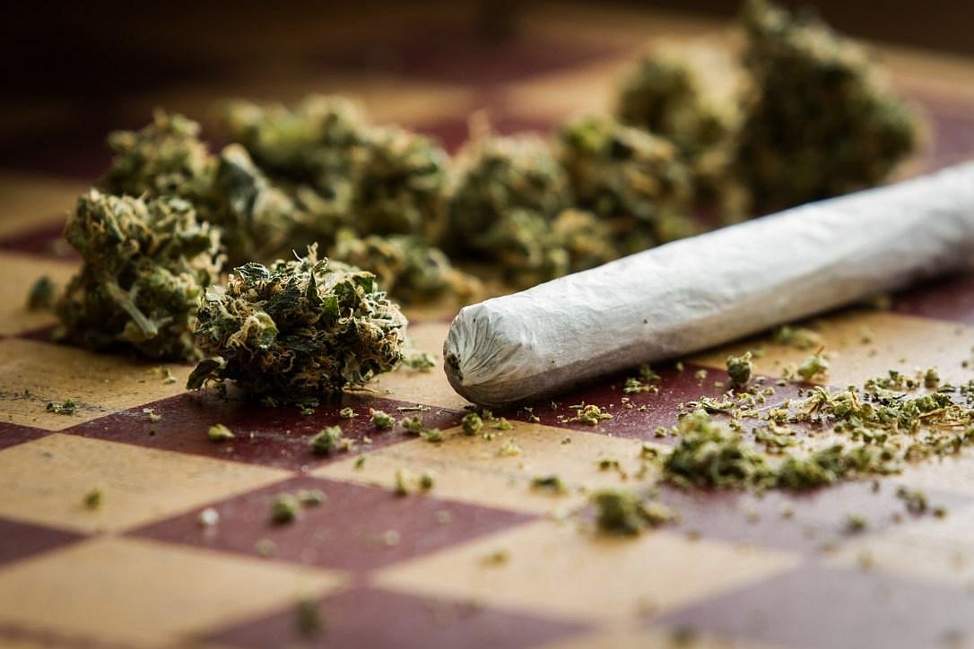 Indore Crime Branch Busts Drug Racket, Five Peddlers Held With MD Drugs & 11.7 Kg Marijuana