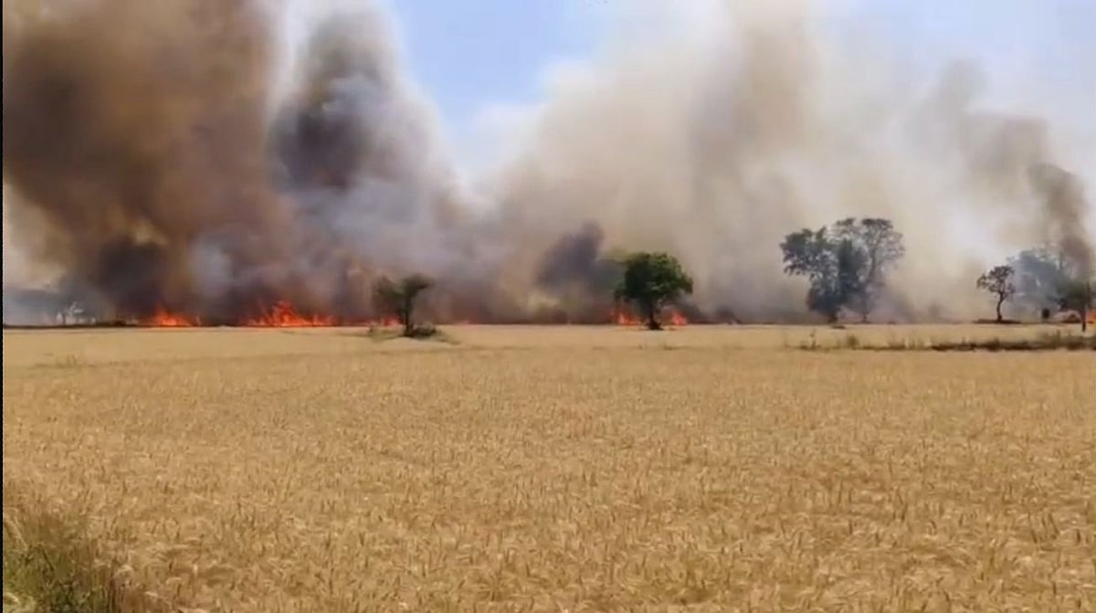 MP News: Fire Due To Short Circuit Ravages Wheat Crop In Sardarpur Village