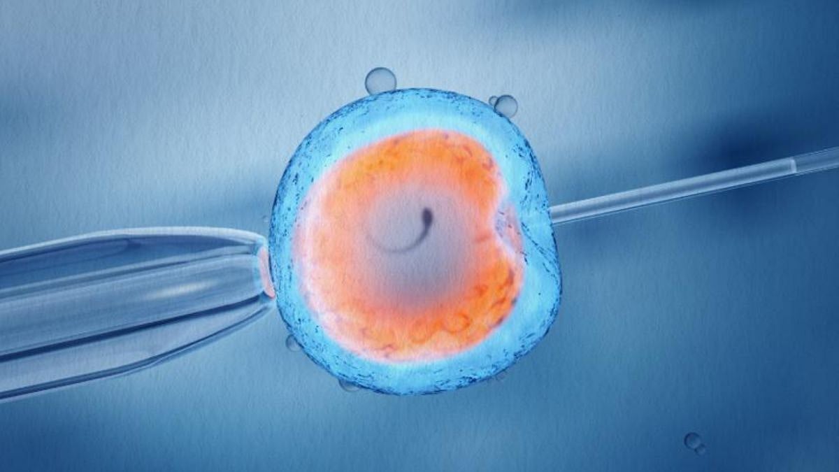 When To Consider IVF: Medical Signs You Shouldn’t Ignore