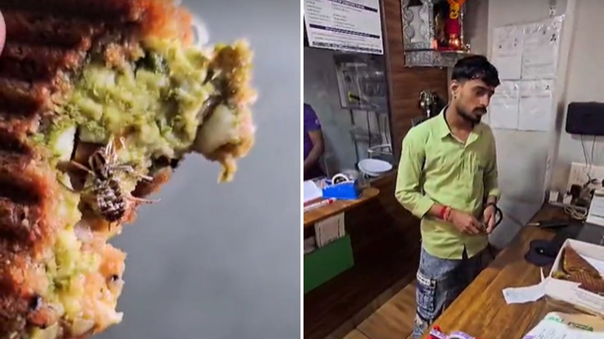 Navi Mumbai Shocker: Zomato Customer Finds Dead Cockroach Inside Sandwich Ordered From An Eatery In Kharghar (VIDEO) | (Photo Courtesy: Capt Muthukrishnan Iyyappan)