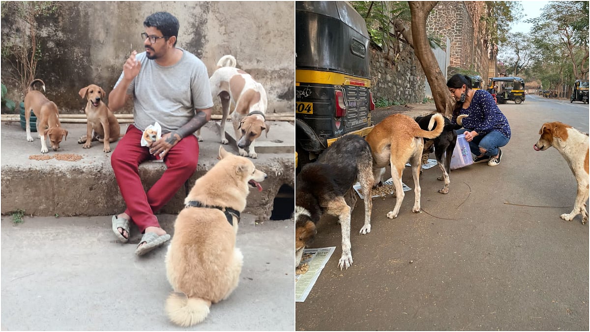 The Plant & Animals Welfare Society (PAWS) has issued a  notice to the Advanced Centre for Treatment, Research and Education in Cancer (ACTREC) in Kharghar over the installation of “No Feeding” boards inside its premises.  | File Photo