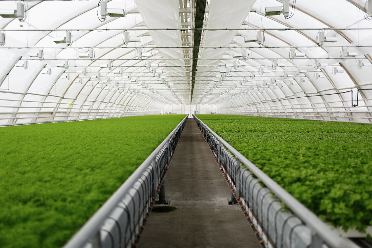 India’s First International Agriculture Hackathon In Pune: Where, When & How To Attend – Read Details