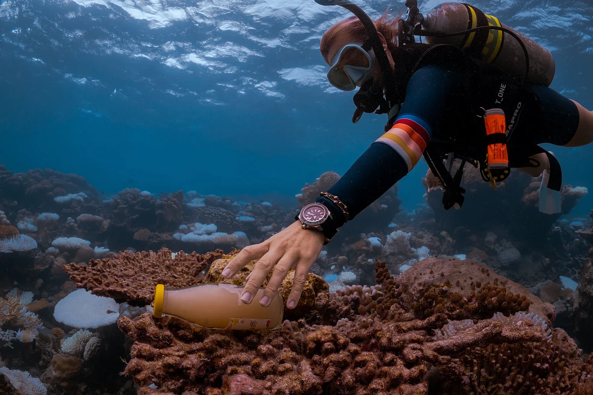 PADI Divers Remove 26 Lakh Pieces Of Marine Trash