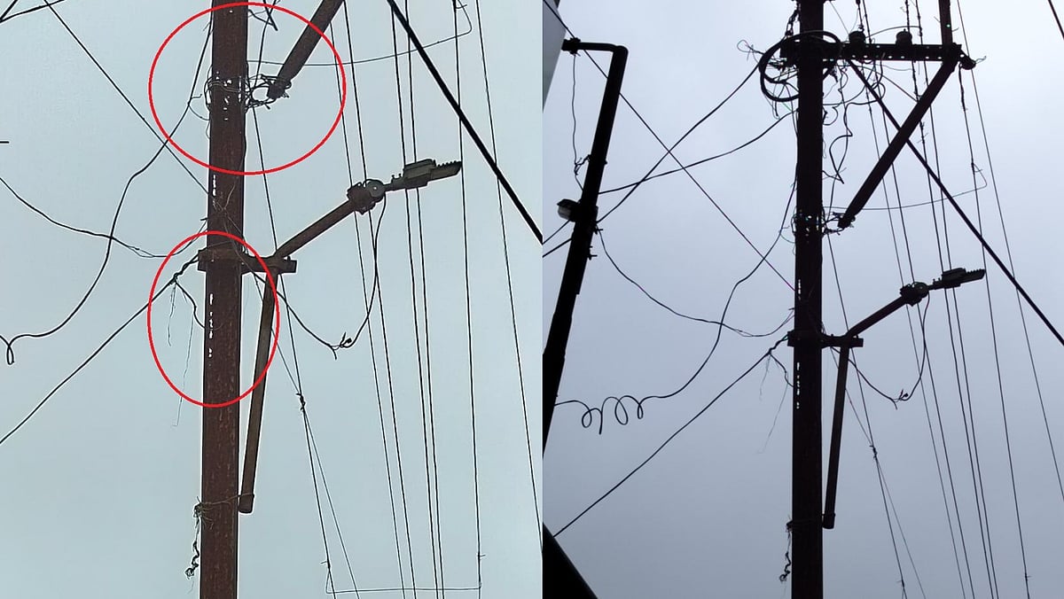 Nashik: Dilapidated Electric Poles In Igatpuri Spark Safety Fears As Monsoon Arrives