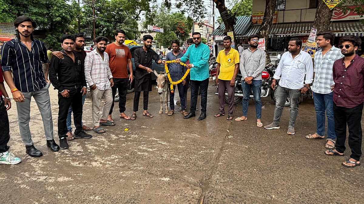 Donkey Garlanded, Offered Sweets In Protest Against Nagar Palika’s Failures In MP's Narmadapuram   