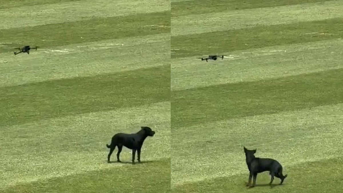 Image: Windies Cricket/X