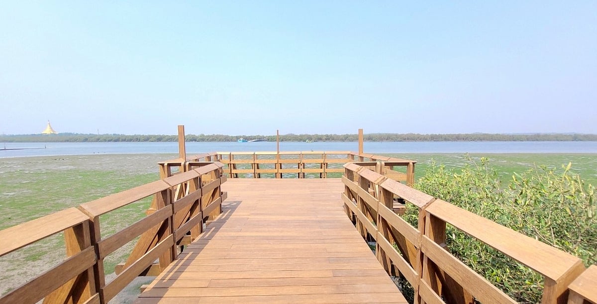 Inauguration Of India’s First Mangrove Park In Mumbai Delayed Due To Monsoon
