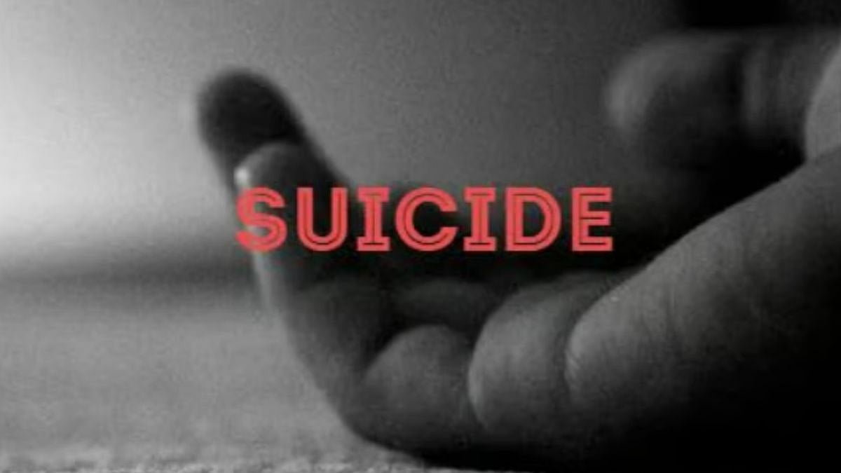 article-image