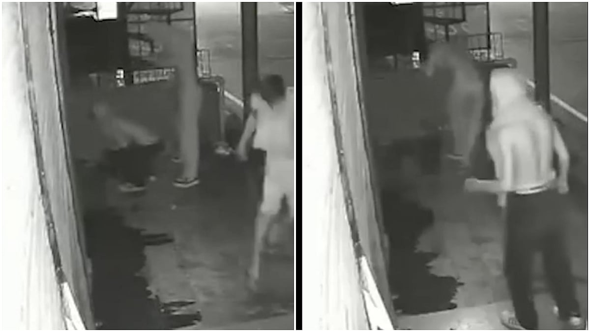 Caught On Camera: Upset Over Not Getting Alcohol, Miscreants Set Liquor Shop On Fire In Himachal Pradesh's Mandi; Arrested