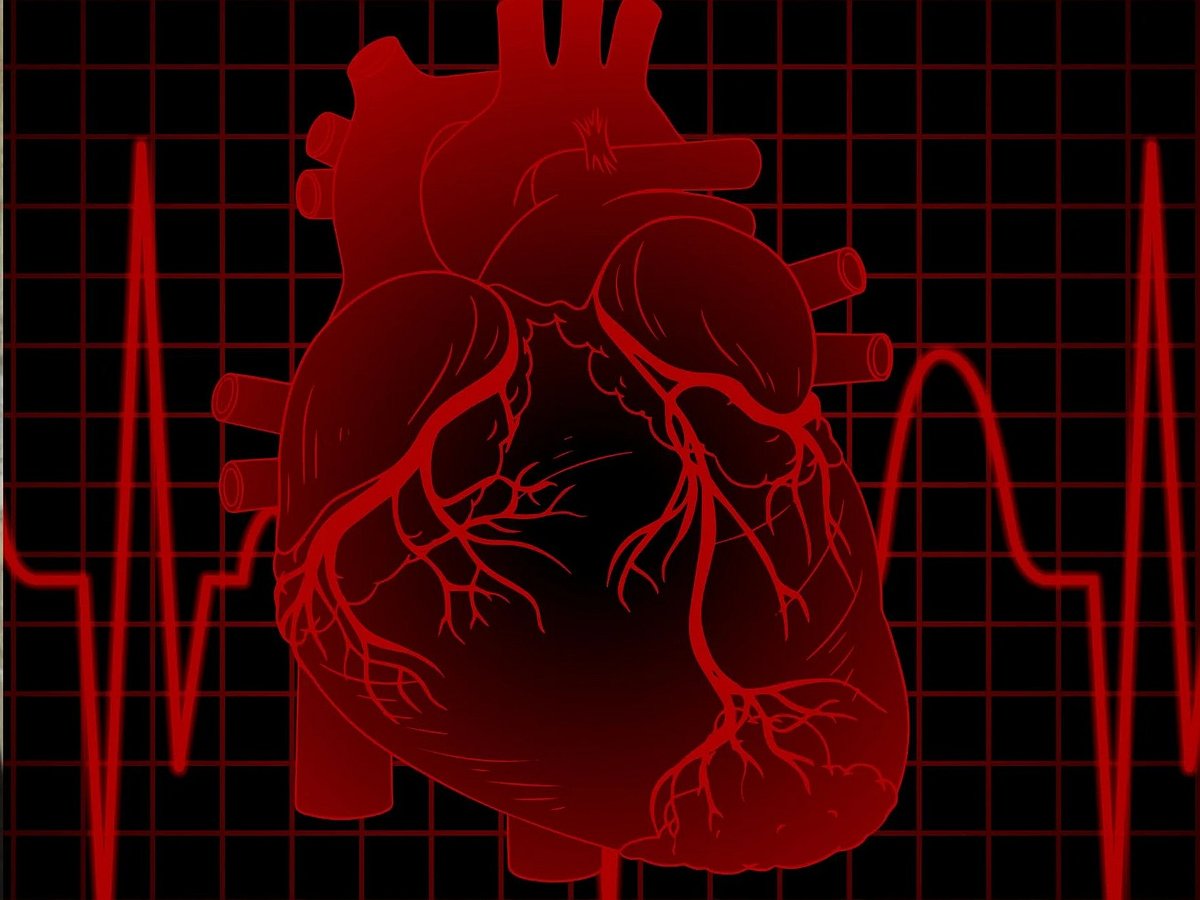 16-Year-Old Girl Dies Of Suspected ‘Heart Attack’ While Sleeping | FPJ