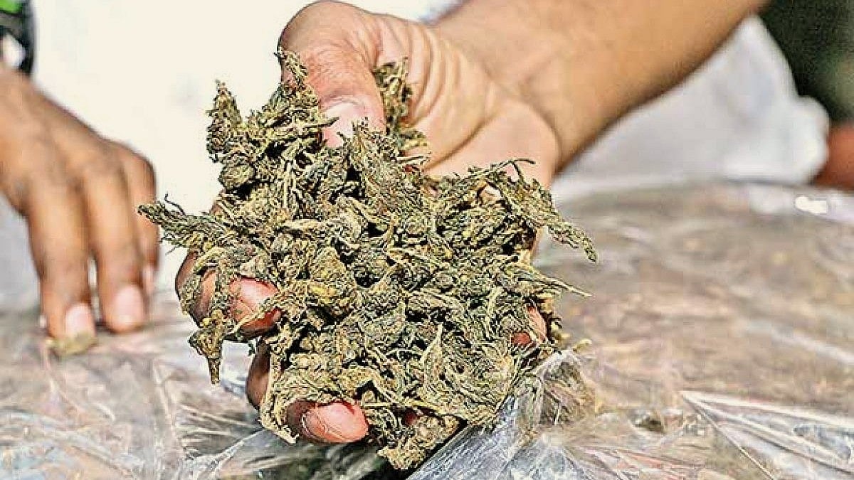 article-image
