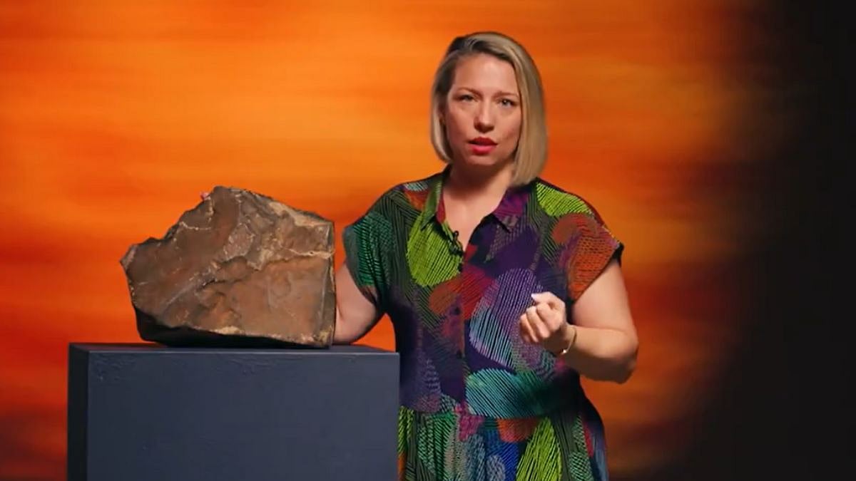 Largest Known Piece Of Mars On Earth Is Out For Auction At Sotheby’s Geek Week 2025 In New York, Netizens Urge Elon Musk To Buy It