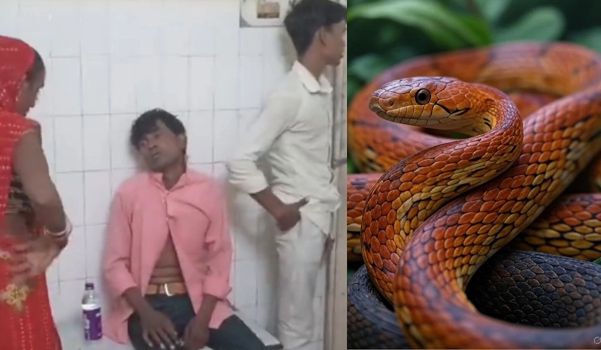 Bizarre! ‘Drunk’ UP Youth Chews Live Snake in Banda; Rushed to Hospital (VIDEO)