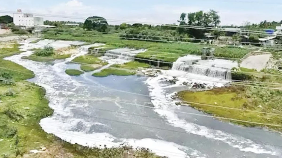 Uttar Pradesh News: Revival Of 50 Rivers, 3,388 Ponds Under MGNREGA & Namami Gange Boosts Water...