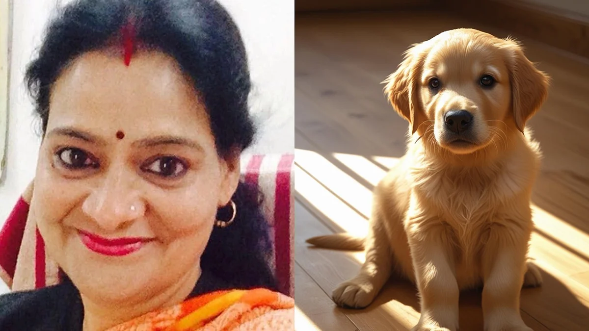 Should I Keep My Dogs On The Road? Sheopur Tehsildar Questions 'Pet Ban In Govt Housing,' Calls It...