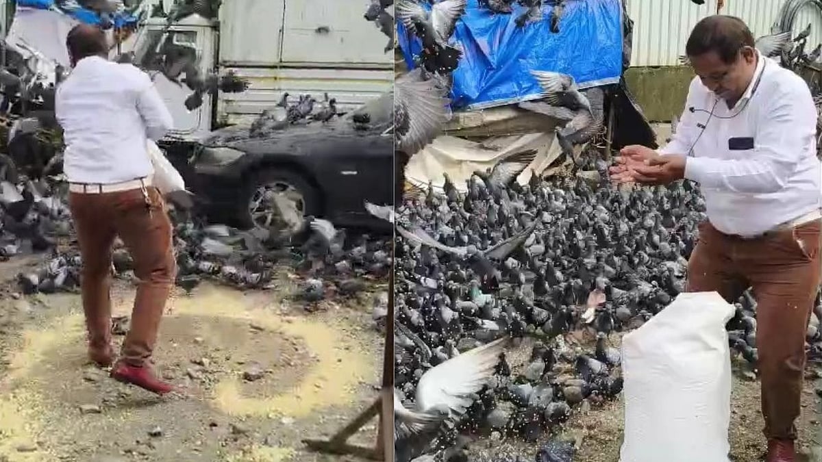  500+ Activists To Feed Pigeons In Protest Against BMC's Crackdown At Daulat Nagar Kabutar Khana | FPJ 