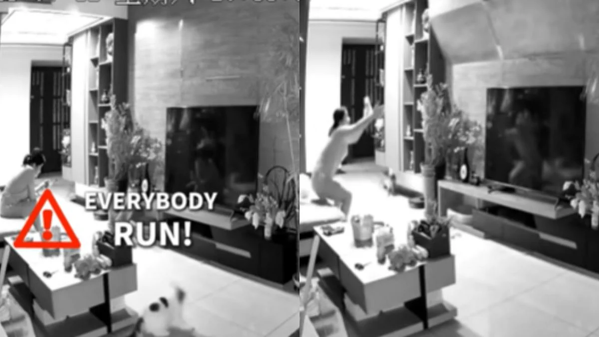 VIDEO: Chinese Woman Escapes Danger Thanks To Alterness Of Her Cats, CCTV Records 'Cats Sensing The Disaster In Advance' 