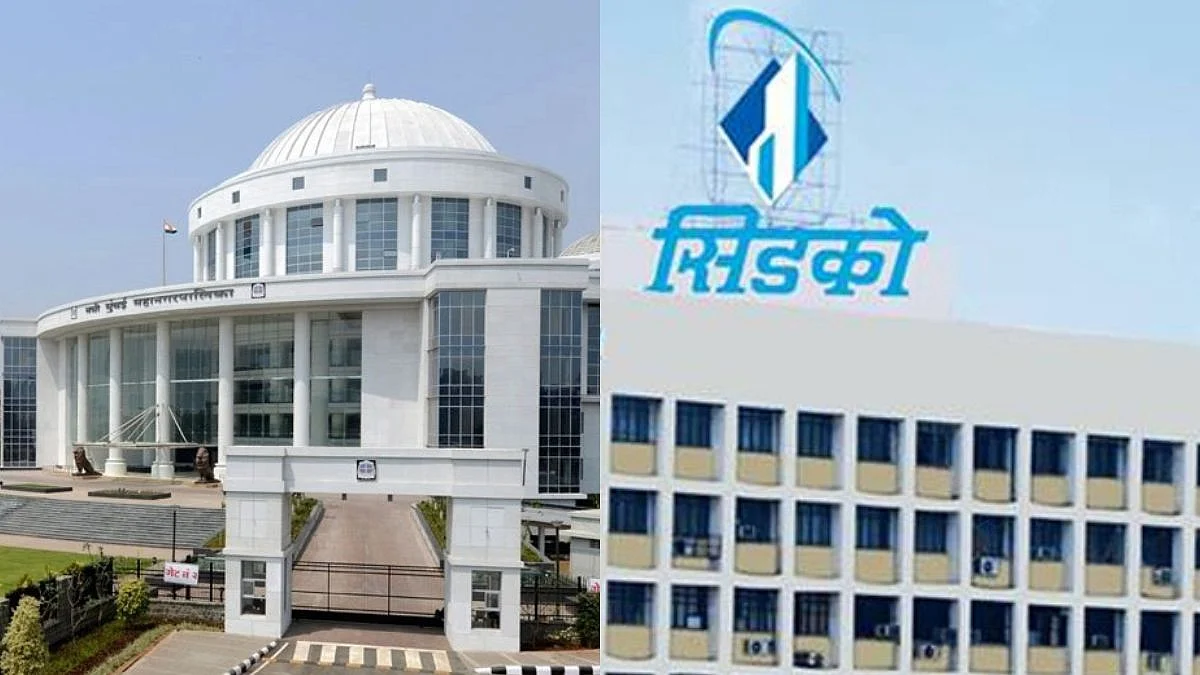 Navi Mumbai: NMMC Raises Concern Over CIDCO's Commercial Plan Over Wetlands And Mangroves 