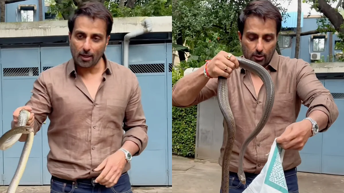 Sonu Sood Spots Snake In His Mumbai Society, Rescues It With Bare Hands:  'Mujhe Aata Hai Pakadne, Don't Try This' (VIDEO)