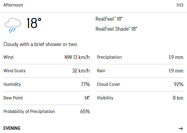 Manchester afternoon weather.